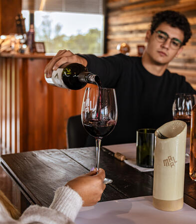 Descubrí el alma del vino mendocino